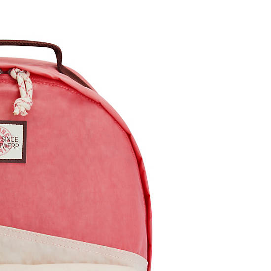 Torby Na Laptopa Kipling Damien Large Backpack Różowe | PL 1583QM